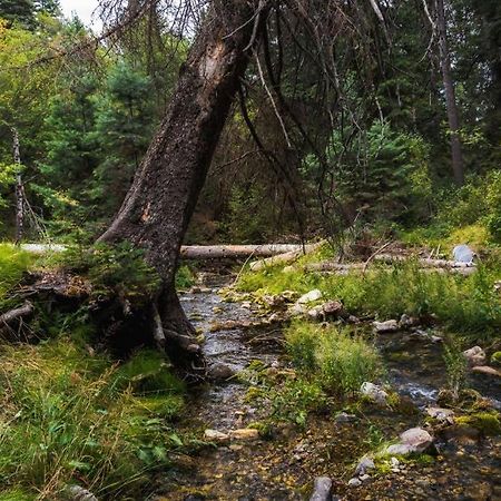 Cottage On The Stream Sundance, Utah 外观 照片