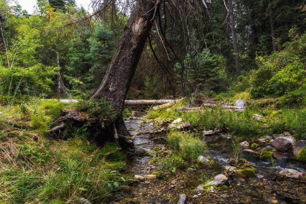 Cottage On The Stream Sundance, Utah 外观 照片